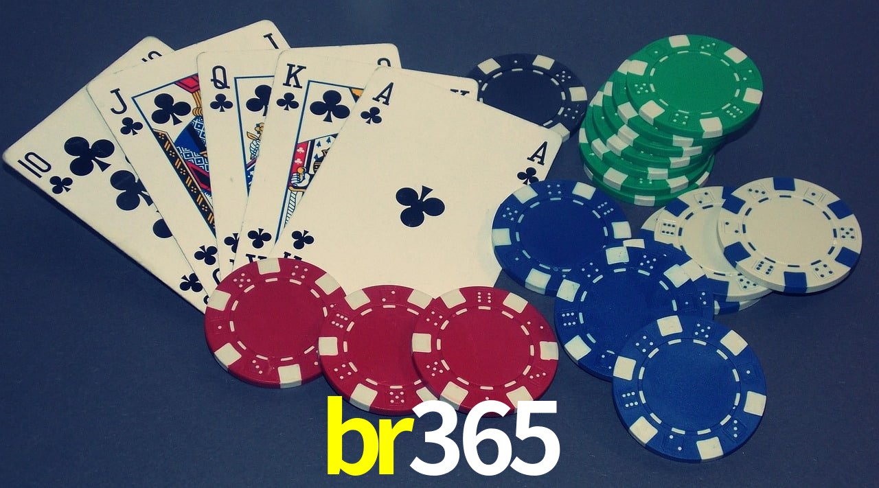 Experiência VIP br365